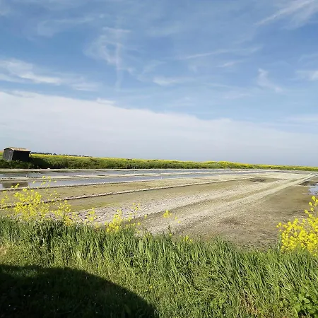 Les Bois Flottes En Re 3*