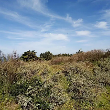 Les Bois Flottes En Re Bed & Breakfast