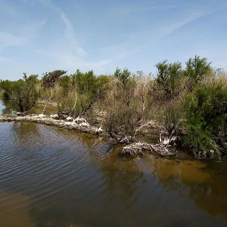 Les Bois Flottes En Re Bed & Breakfast Sainte-Marie-de-Re