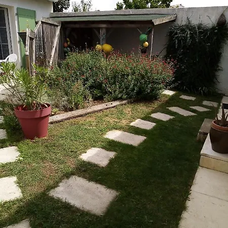 Les Bois Flottes En Re