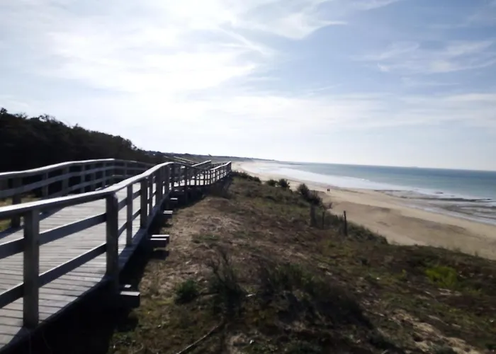 Les Bois Flottes En Re 3*