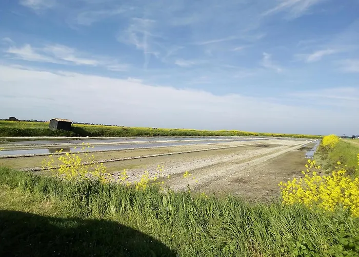 Les Bois Flottes En Re 3*