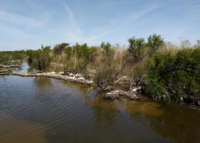 Les Bois Flottes En Re Bed and breakfast Sainte-Marie-de-Ré