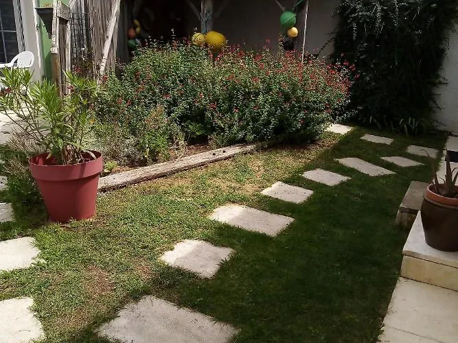 Les Bois Flottes En Re